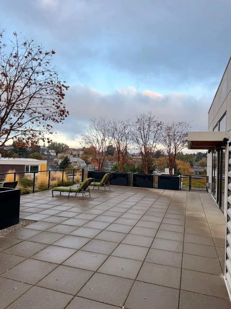 Outdoor terrace with lounge chairs and trees at Avant Apartments